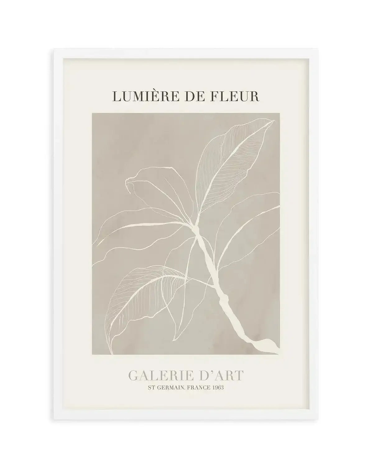 Lumiere De Fleur II Art Print-PRINT-Olive et Oriel-Olive et Oriel-A5 | 5.8" x 8.3" | 14.8 x 21cm-White-With White Border-Buy-Australian-Art-Prints-Online-with-Olive-et-Oriel-Your-Artwork-Specialists-Austrailia-Decorate-With-Coastal-Photo-Wall-Art-Prints-From-Our-Beach-House-Artwork-Collection-Fine-Poster-and-Framed-Artwork