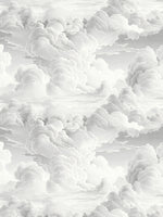 Luxe Clouds in Soft Grey Wallpaper