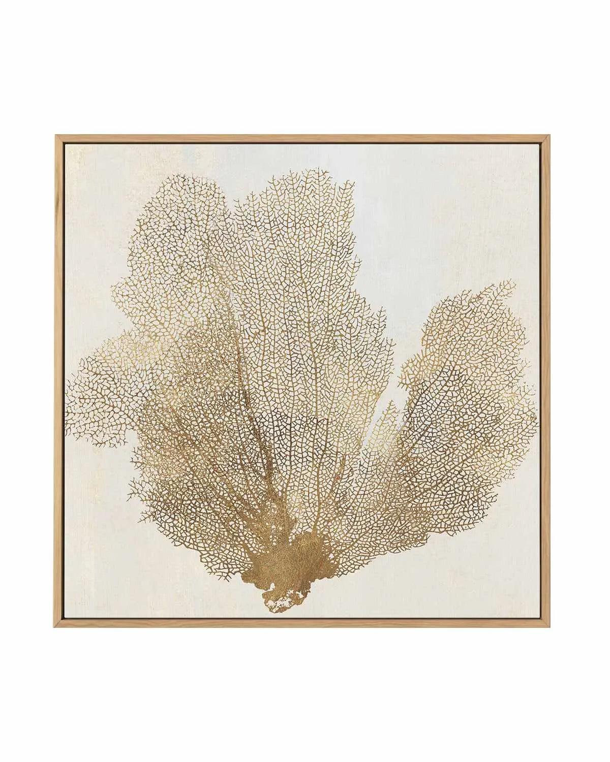 Luxe Coral I | Framed Canvas Print from Olive et Oriel where you can shop wallpaper and artworks online