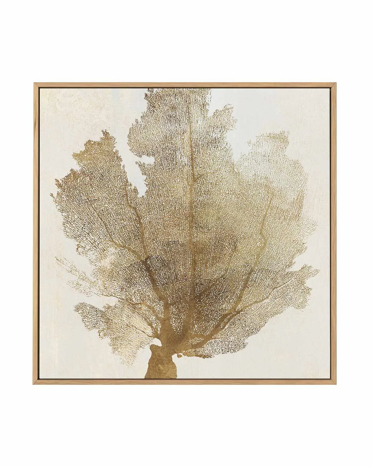 Luxe Coral II | Framed Canvas Art Print from Olive et Oriel where you can shop wallpaper and artworks online