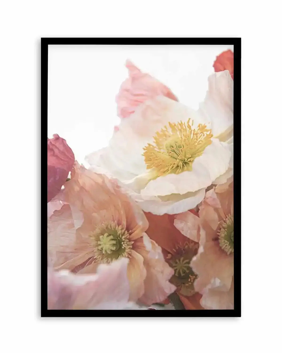 Luxe Poppy I Art Print from Olive et Oriel where you can shop wallpaper and artworks online
