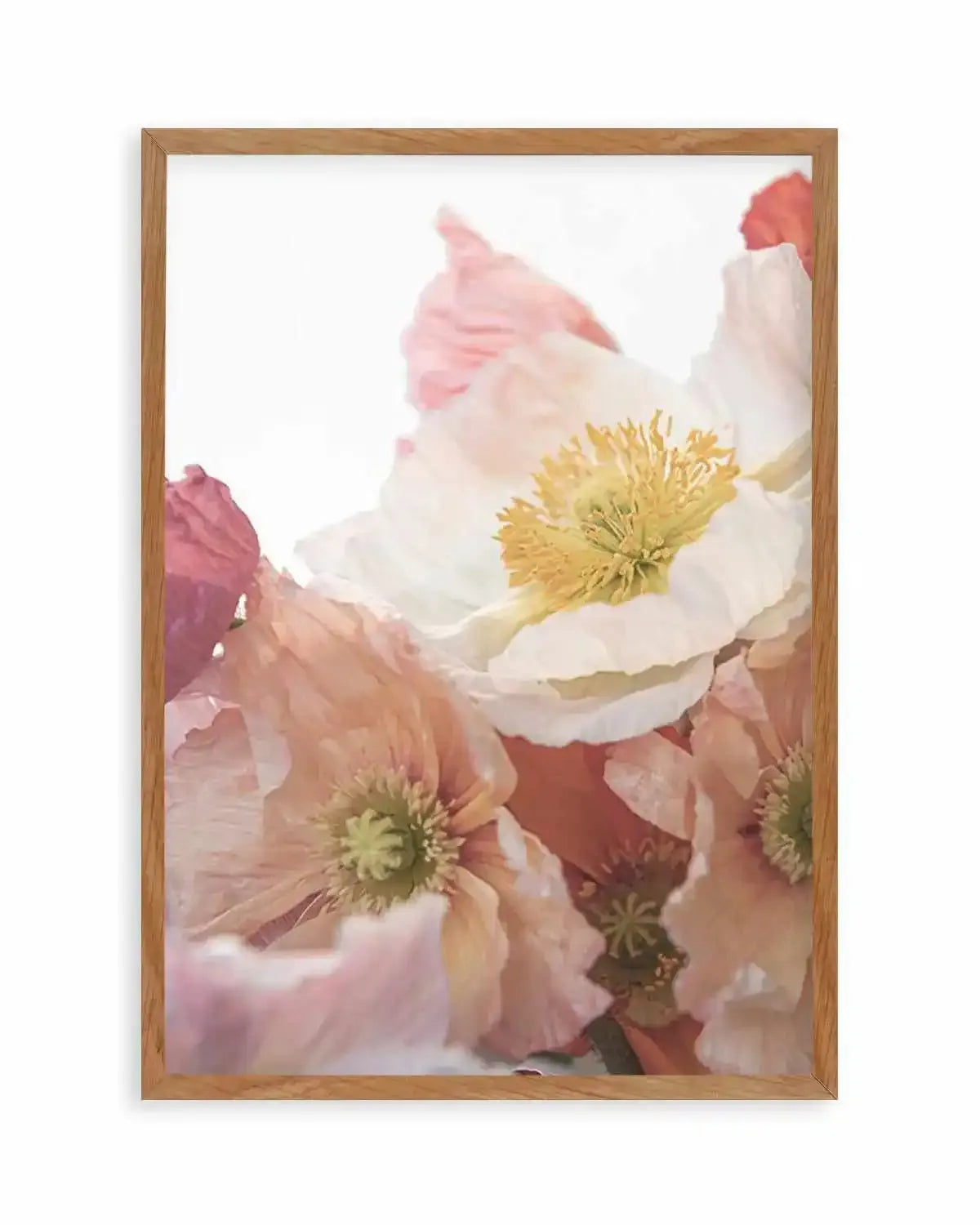 Luxe Poppy I Art Print from Olive et Oriel where you can shop wallpaper and artworks online