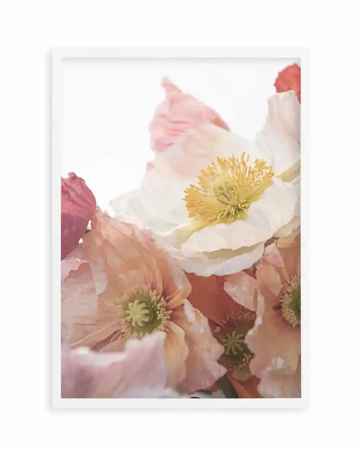 Luxe Poppy I Art Print from Olive et Oriel where you can shop wallpaper and artworks online