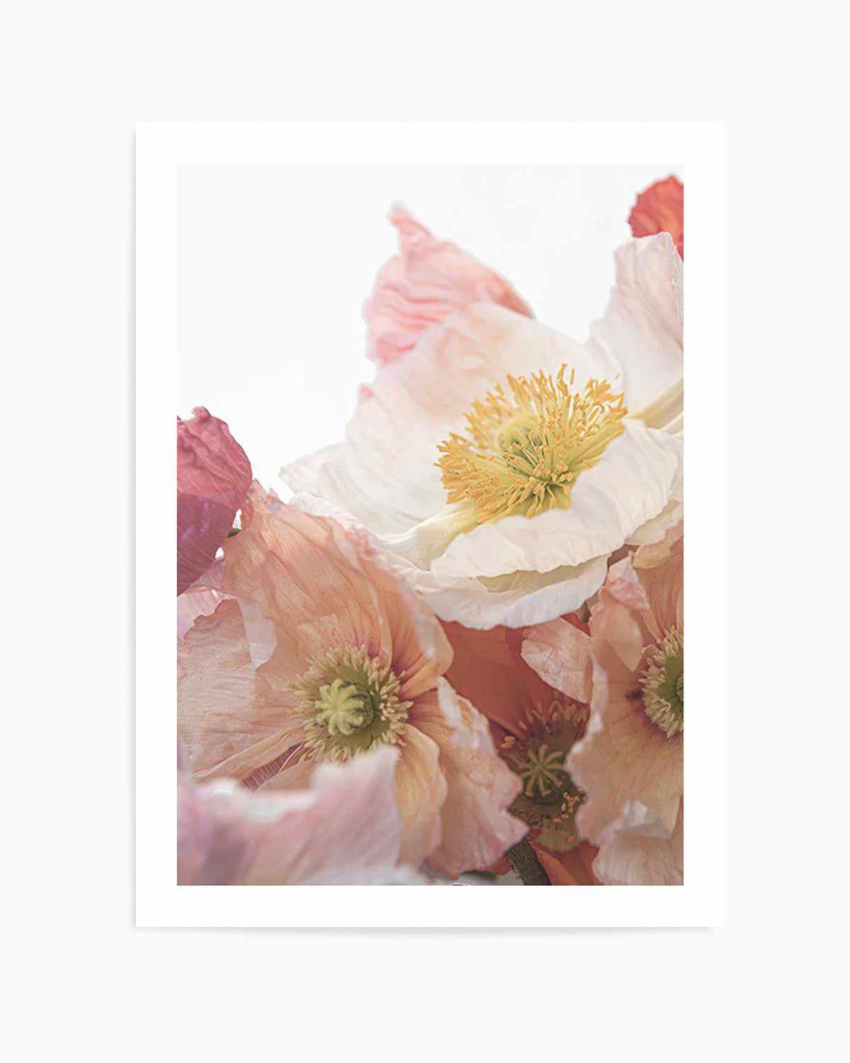 Luxe Poppy I Art Print