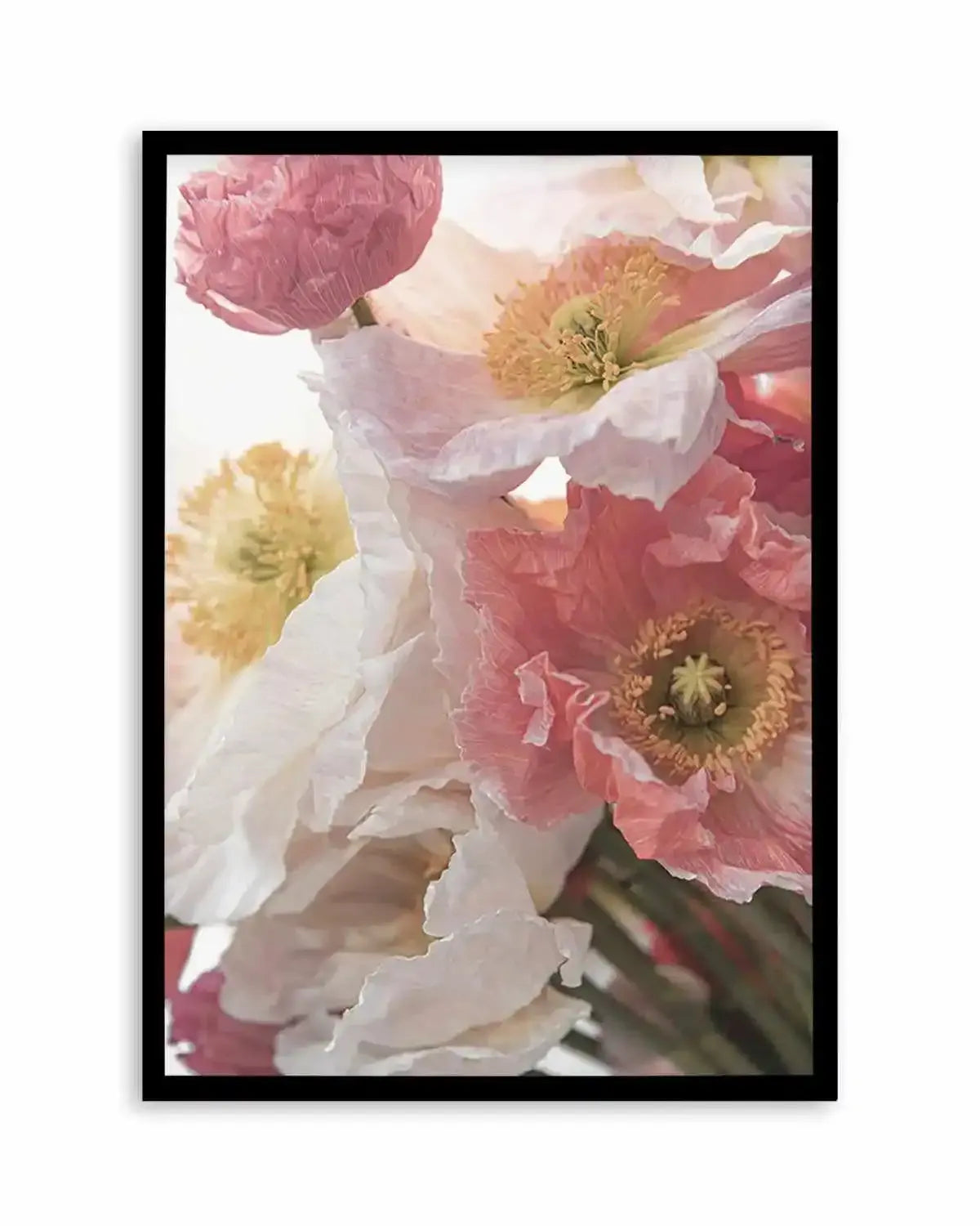 Luxe Poppy II Art Print from Olive et Oriel where you can shop wallpaper and artworks online