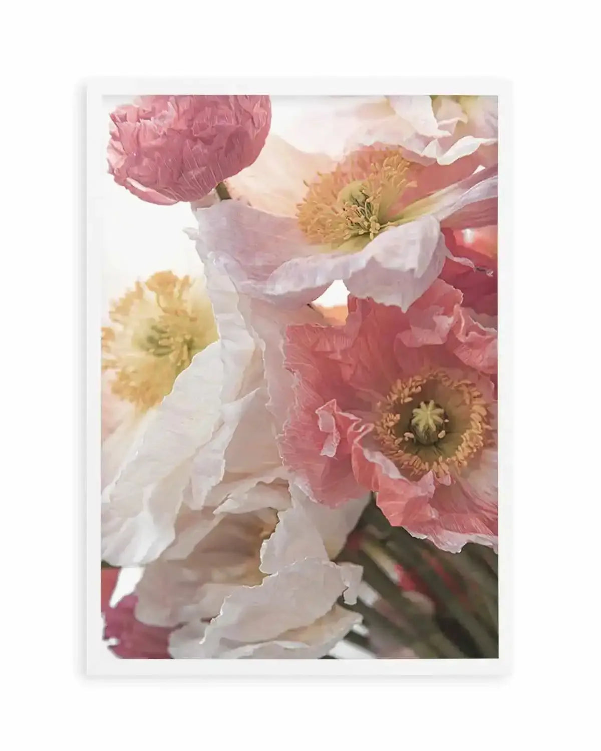 Luxe Poppy II Art Print from Olive et Oriel where you can shop wallpaper and artworks online