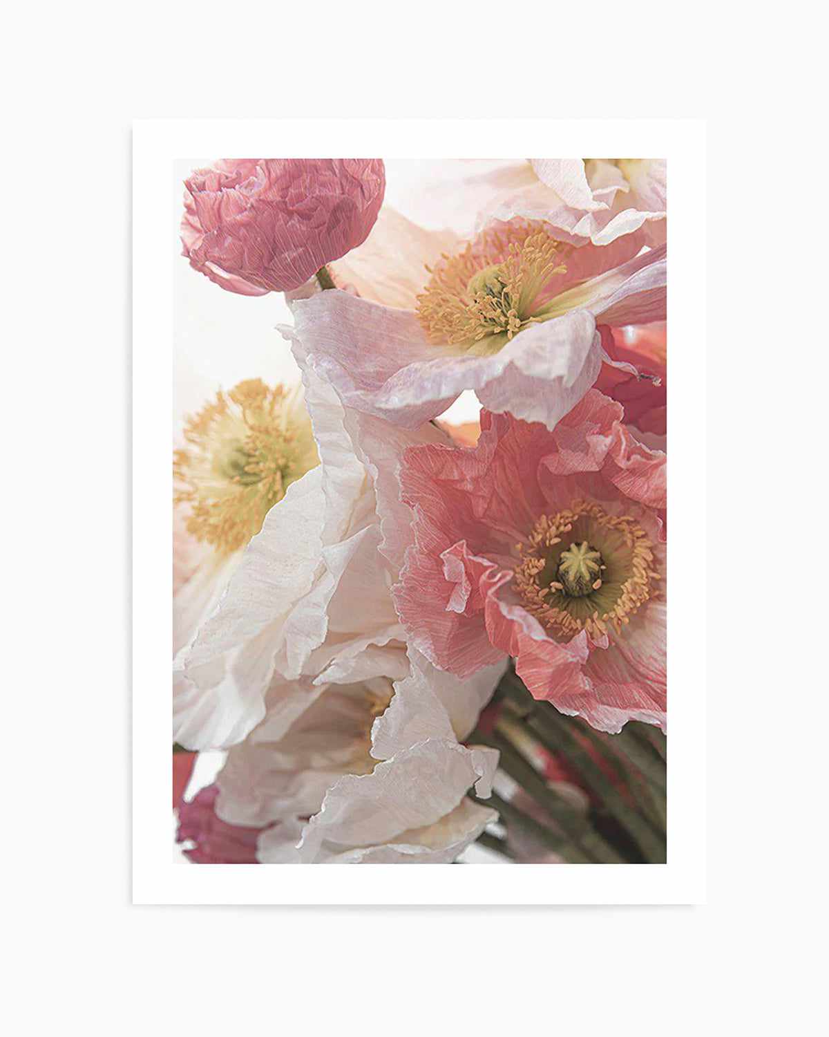 Luxe Poppy II Art Print