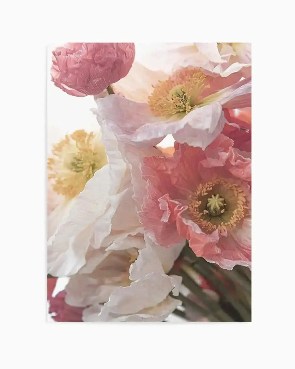 Luxe Poppy II Art Print from Olive et Oriel where you can shop wallpaper and artworks online
