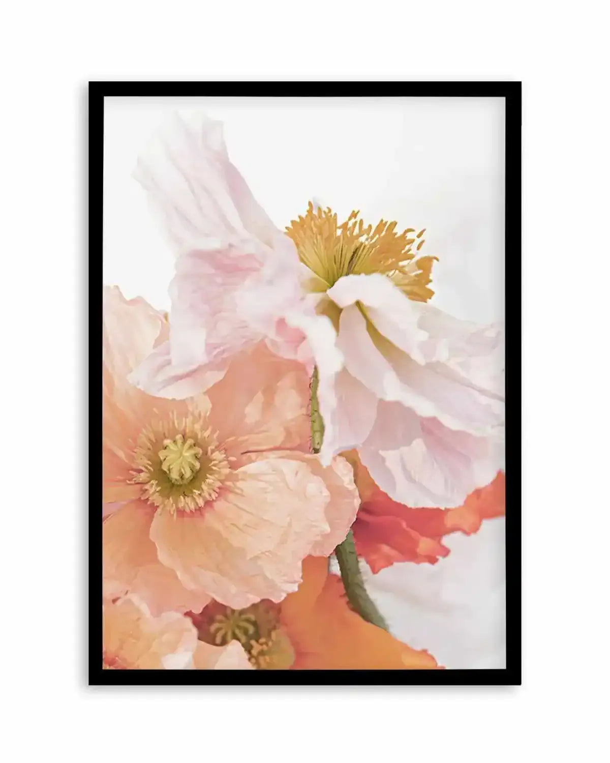 Luxe Poppy III Art Print from Olive et Oriel where you can shop wallpaper and artworks online