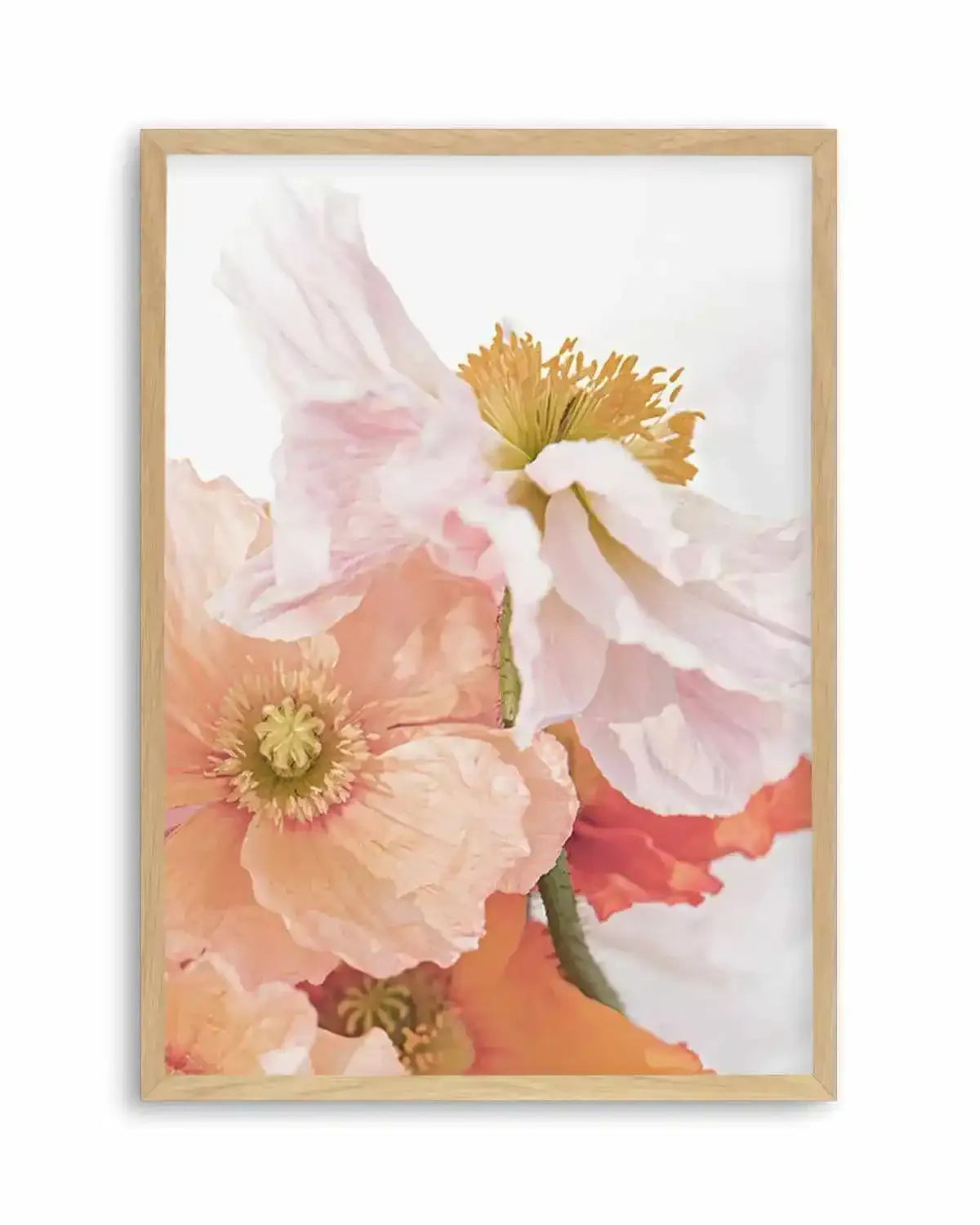 Luxe Poppy III Art Print from Olive et Oriel where you can shop wallpaper and artworks online