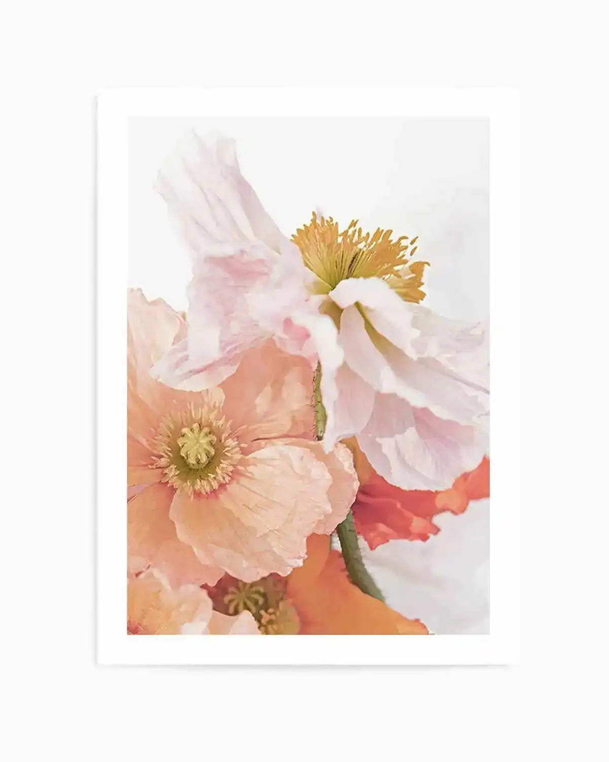 Luxe Poppy III Art Print from Olive et Oriel where you can shop wallpaper and artworks online