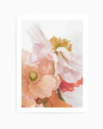 Watercolour art print featuring a close-up of several poppy flowers in soft pastel shades of blush pink, peach, and coral, with visible brushstroke texture. The composition highlights the delicate petals and golden yellow stamens of the blooms against a soft white background.