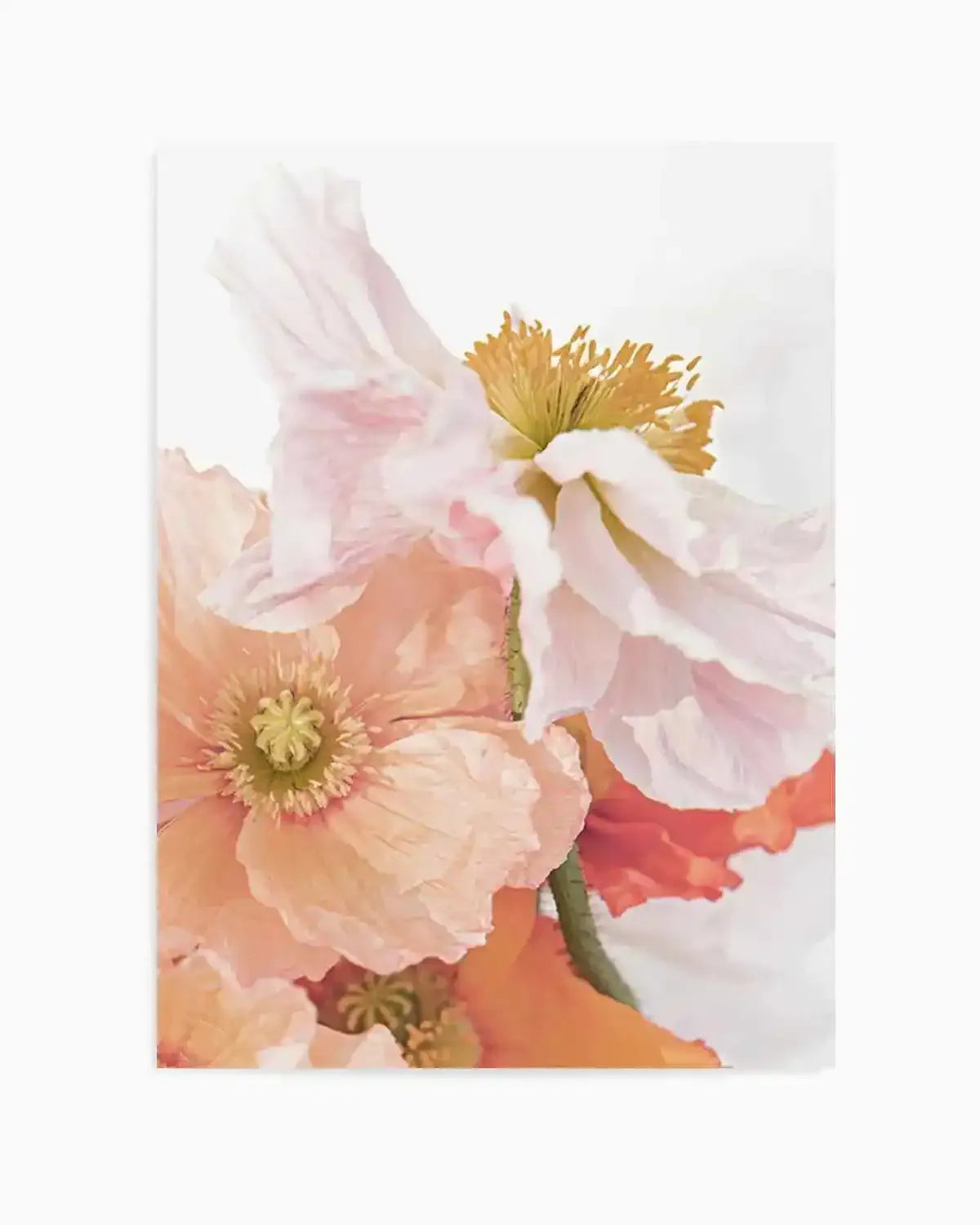 Luxe Poppy III Art Print from Olive et Oriel where you can shop wallpaper and artworks online