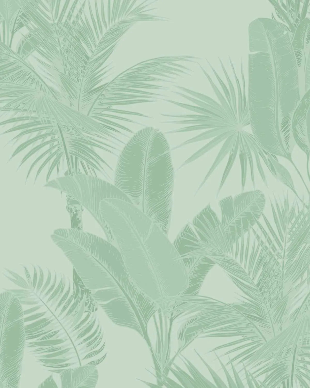 Luxe Tropical in Jungle Green Wallpaper from Olive et Oriel where you can shop wallpaper and artworks online