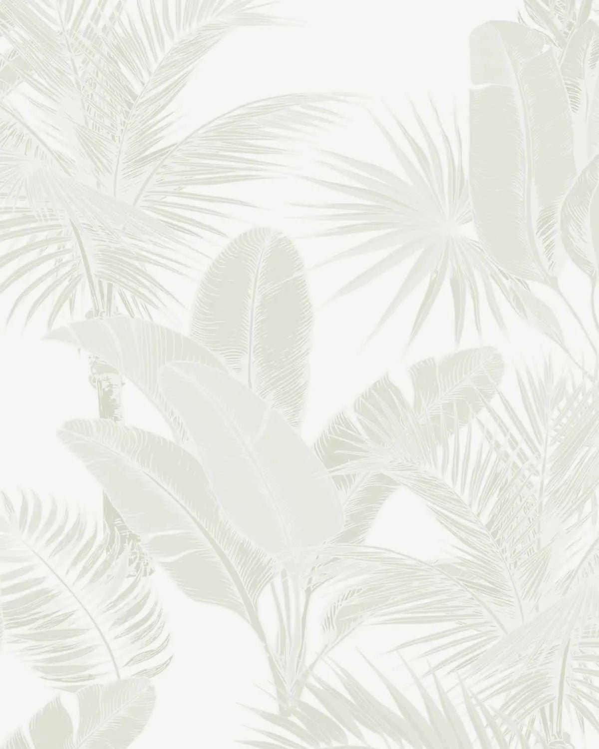 Luxe Tropical in Neutral Wallpaper from Olive et Oriel where you can shop wallpaper and artworks online