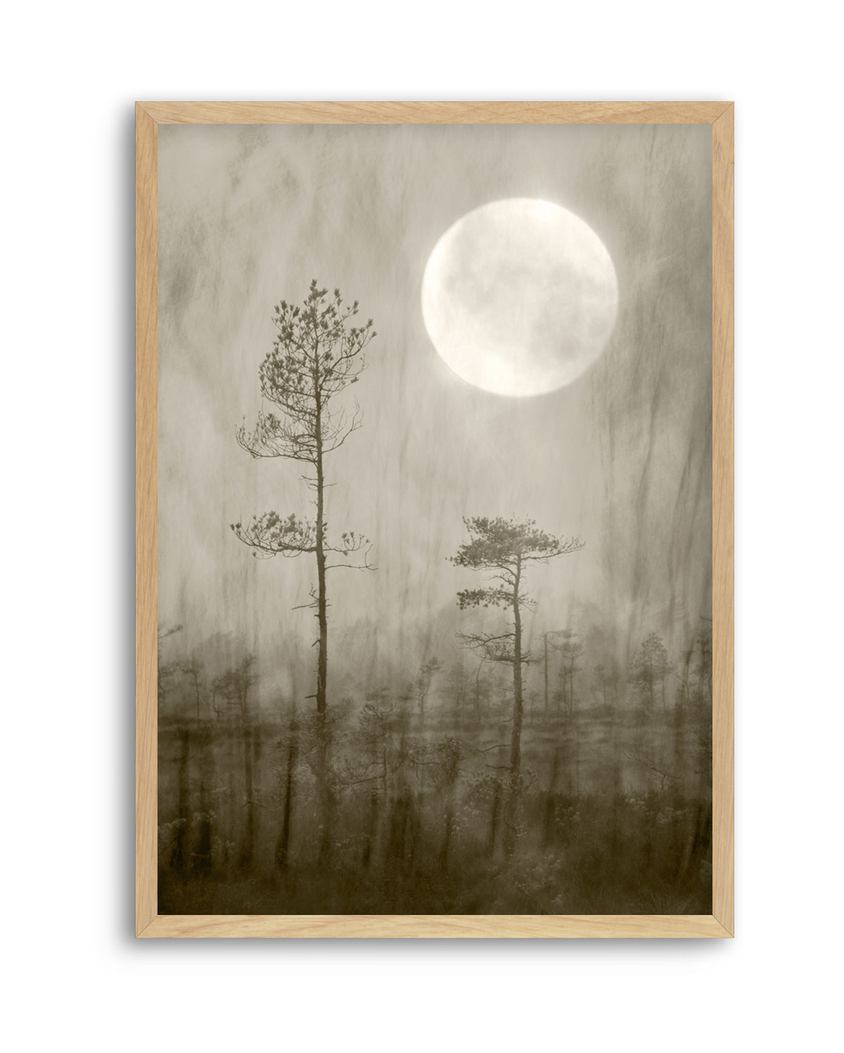Misty Moon Over Bog by Christina Sillen | Art Print