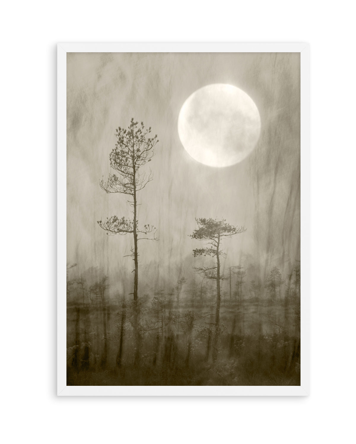 Misty Moon Over Bog by Christina Sillen | Art Print