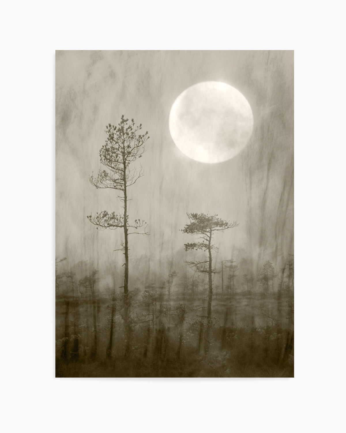 Misty Moon Over Bog by Christina Sillen | Art Print