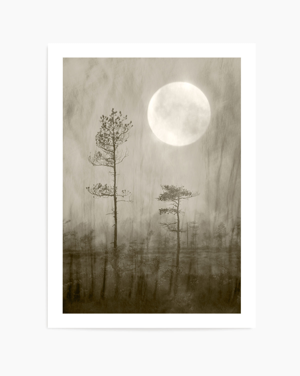 Misty Moon Over Bog by Christina Sillen | Art Print