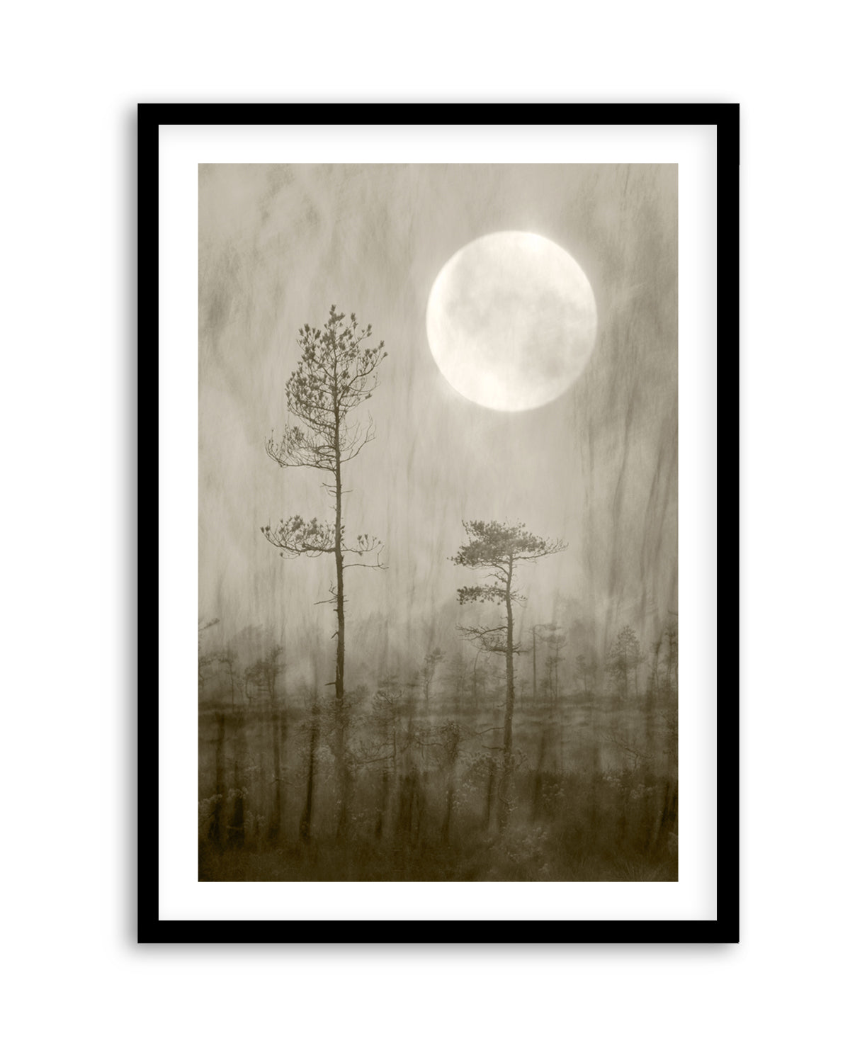 Misty Moon Over Bog by Christina Sillen | Art Print