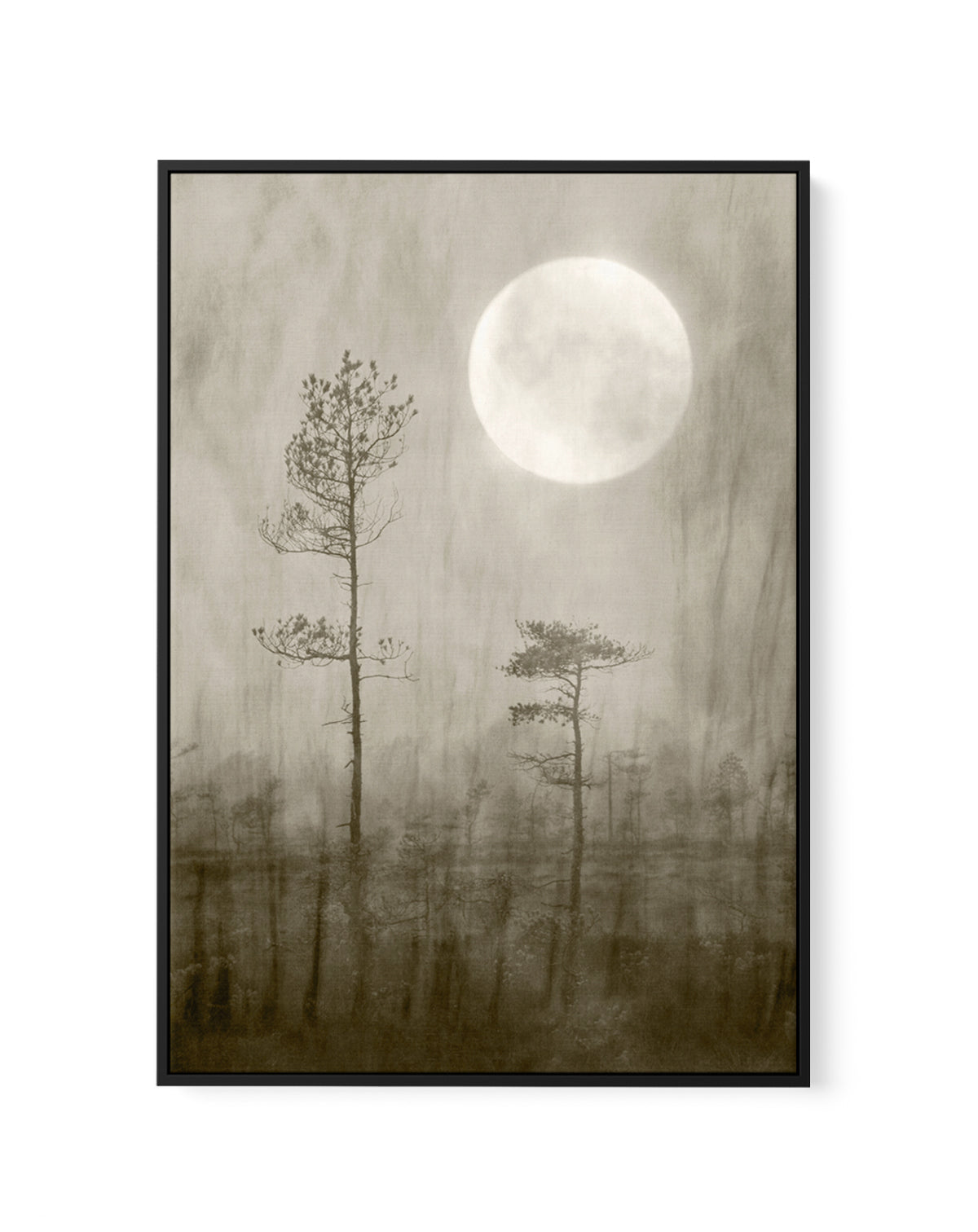 Misty Moon Over Bog by Christina Sillen | Framed Canvas Art Print