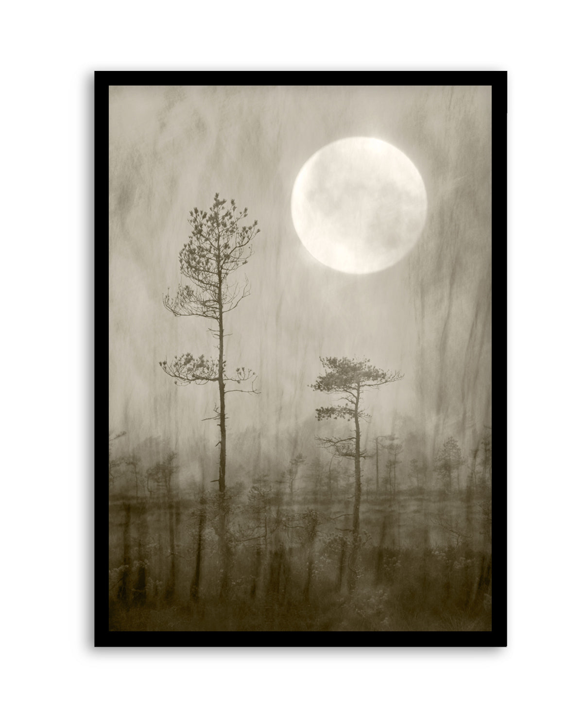 Misty Moon Over Bog by Christina Sillen | Art Print