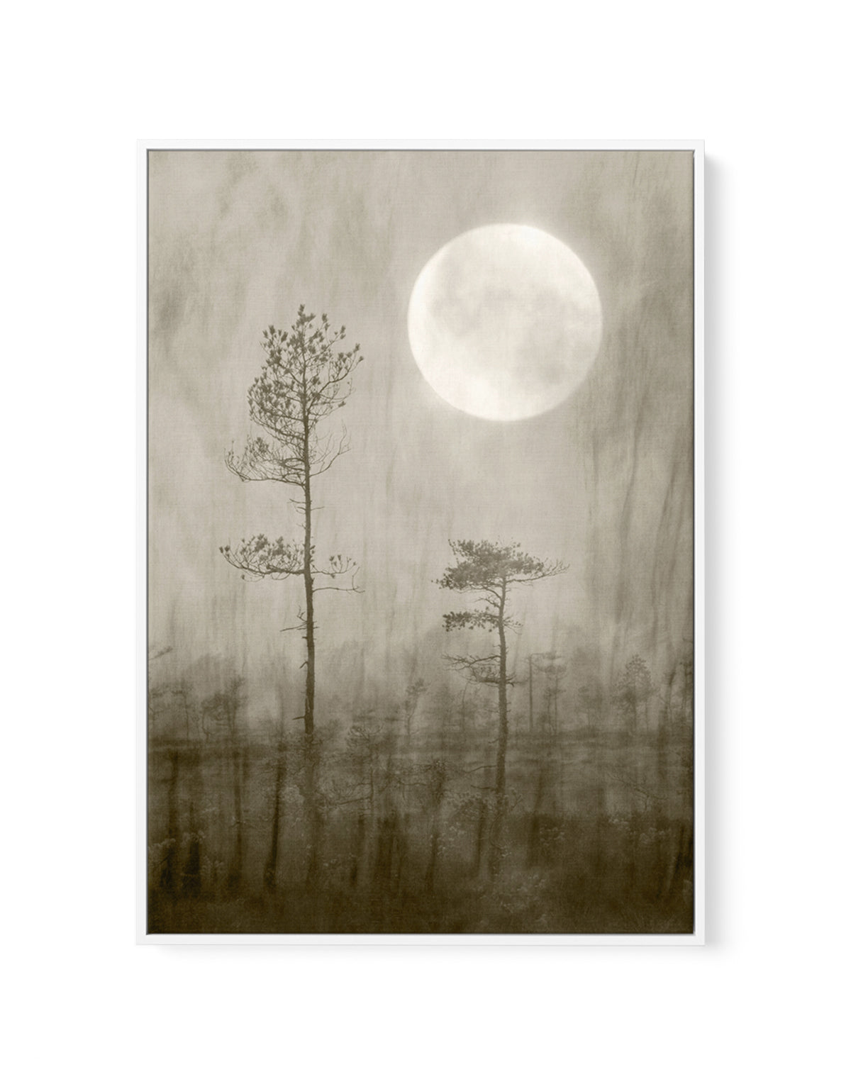 Misty Moon Over Bog by Christina Sillen | Framed Canvas Art Print