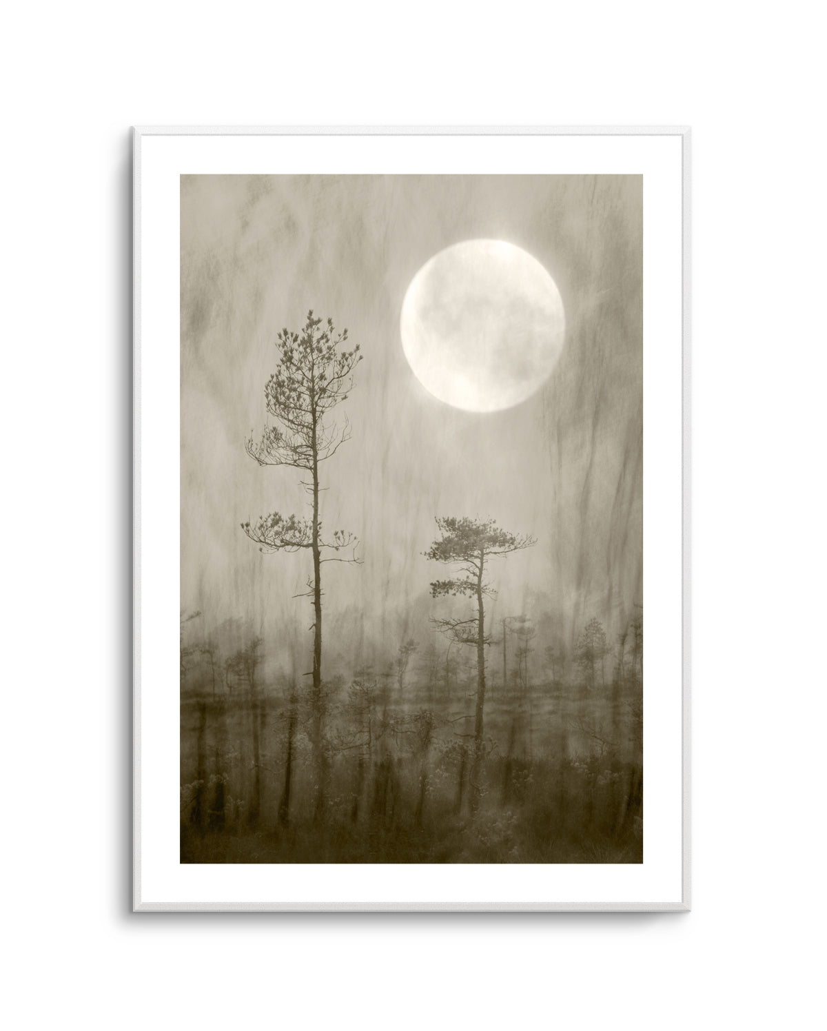 Misty Moon Over Bog by Christina Sillen | Art Print