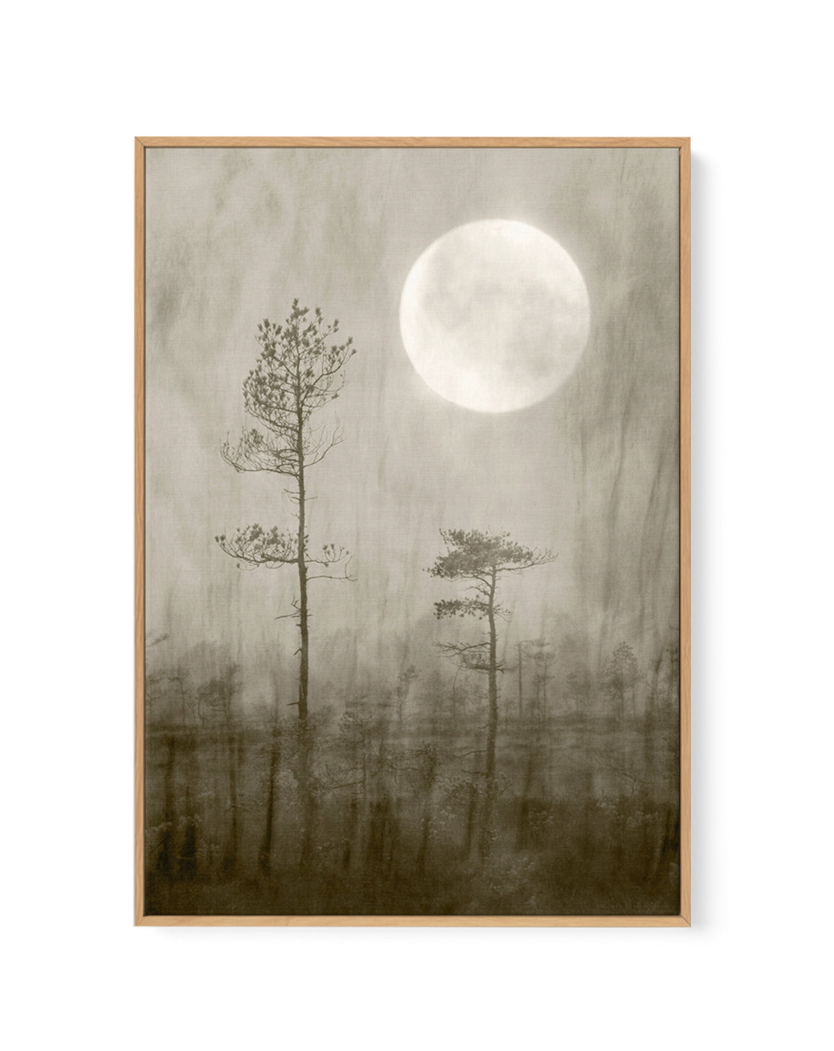 Misty Moon Over Bog by Christina Sillen | Framed Canvas Art Print