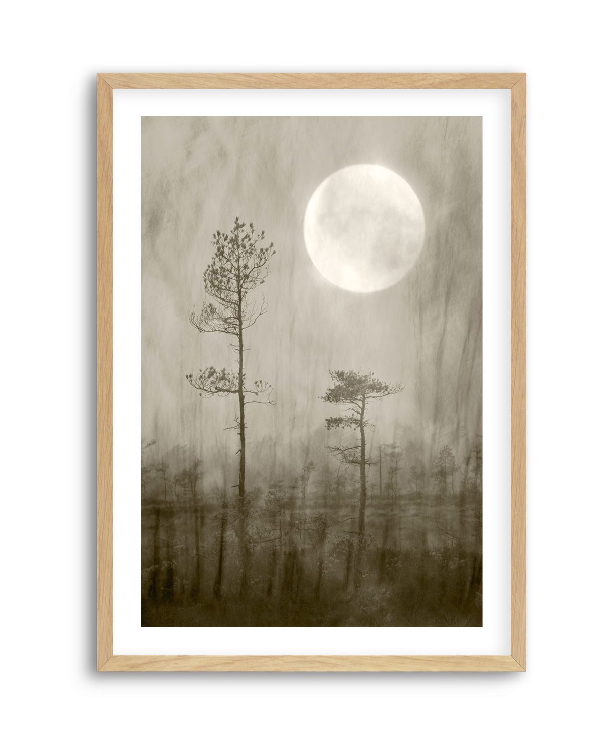 Misty Moon Over Bog by Christina Sillen | Art Print
