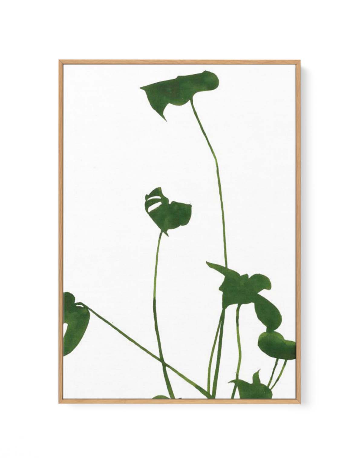 MONSTERA l By Jorgen Hanssonl | Framed Canvas Art Print