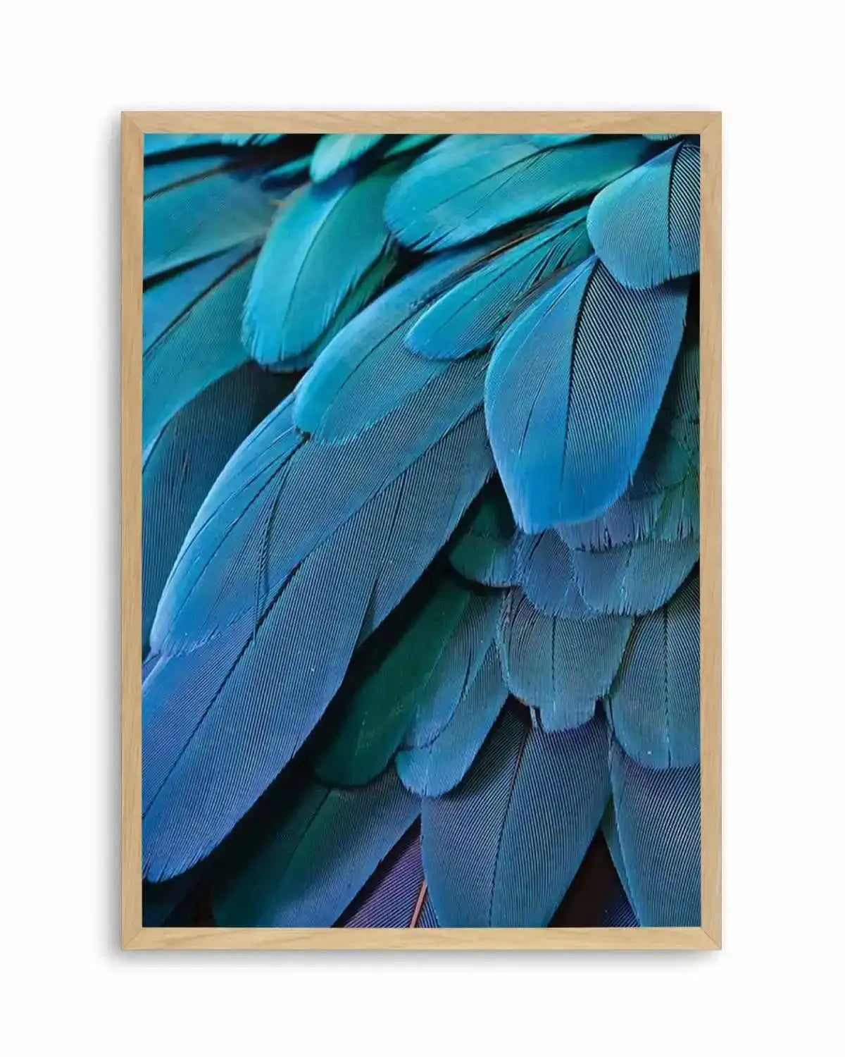 Macaw Art Print from Olive et Oriel where you can shop wallpaper and artworks online