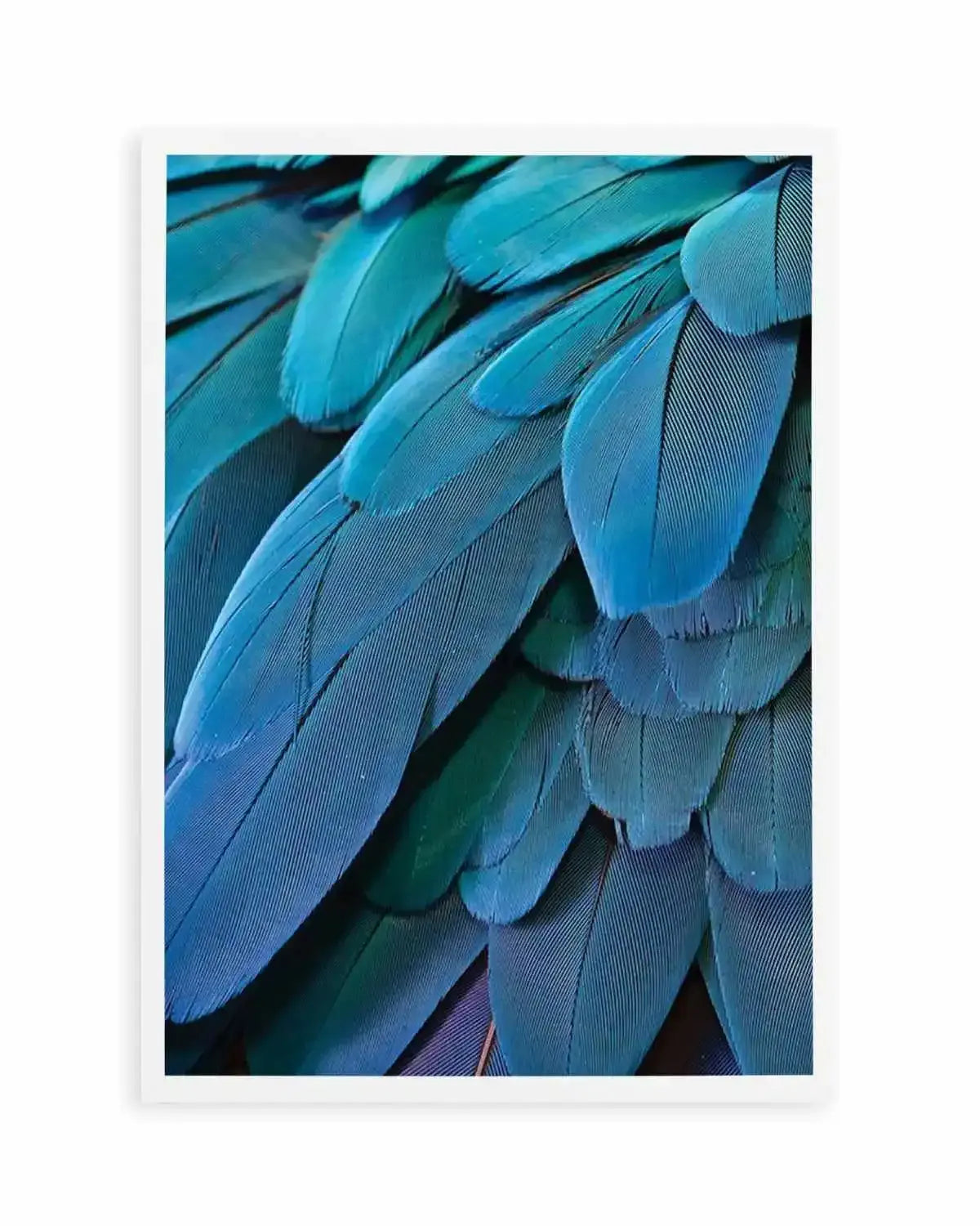 Macaw Art Print from Olive et Oriel where you can shop wallpaper and artworks online