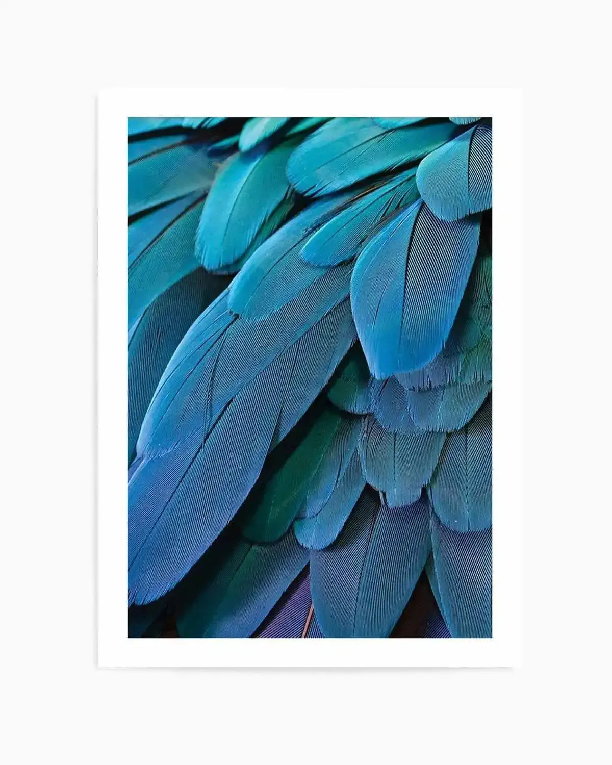 Macaw Art Print from Olive et Oriel where you can shop wallpaper and artworks online