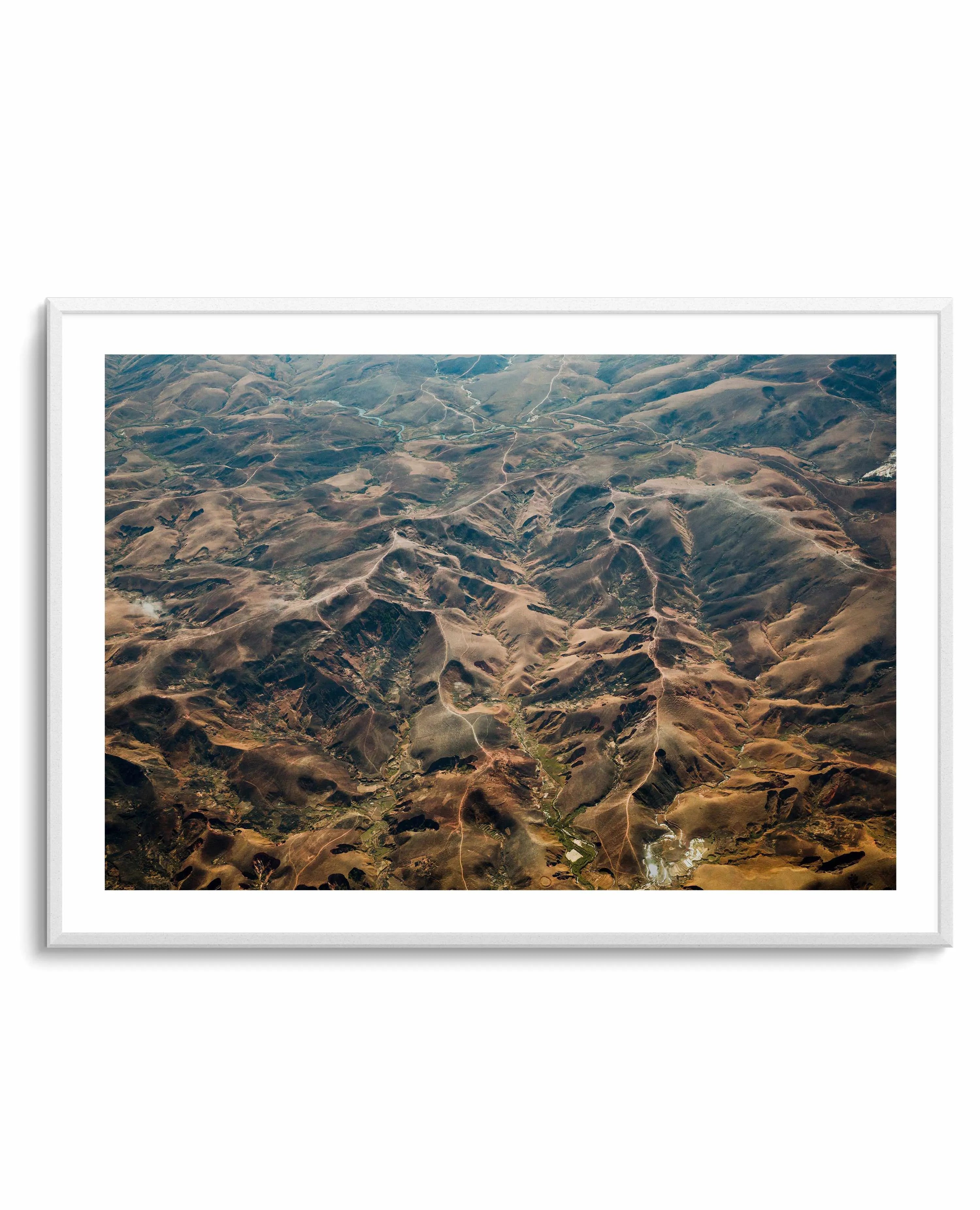 Madagascar by Kalen X | Art Print from Olive et Oriel where you can shop wallpaper and artworks online