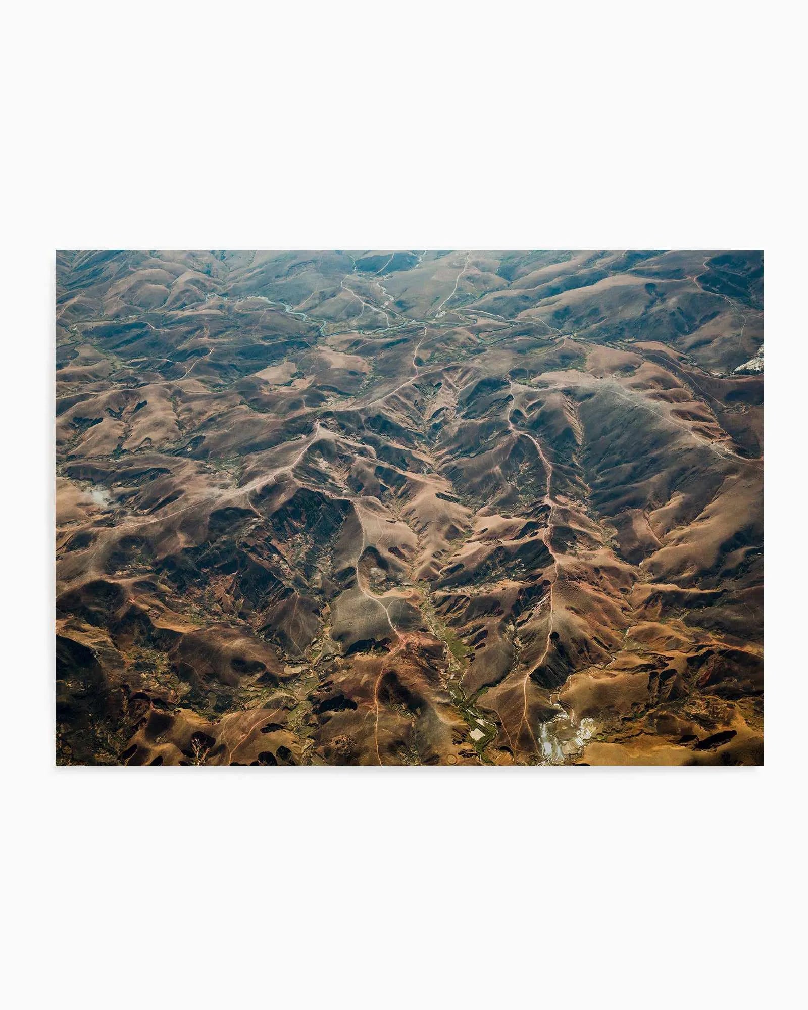 Madagascar by Kalen X | Art Print from Olive et Oriel where you can shop wallpaper and artworks online