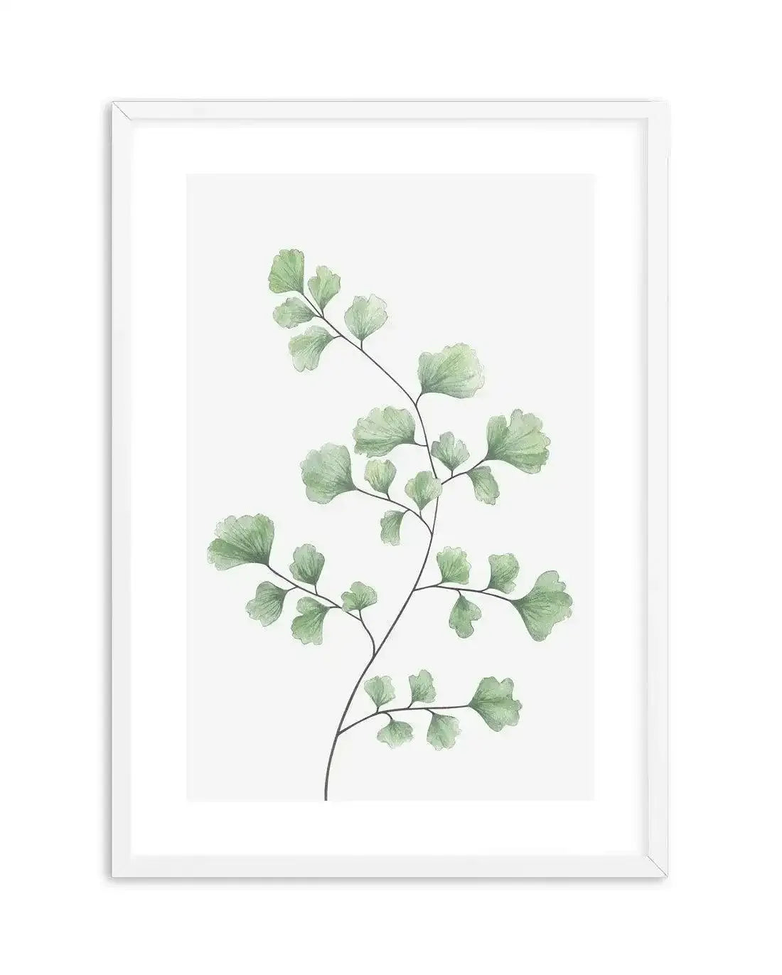 Maidenhair Fern I Art Print-PRINT-Olive et Oriel-Olive et Oriel-A4 | 8.3" x 11.7" | 21 x 29.7cm-White-With White Border-Buy-Australian-Art-Prints-Online-with-Olive-et-Oriel-Your-Artwork-Specialists-Austrailia-Decorate-With-Coastal-Photo-Wall-Art-Prints-From-Our-Beach-House-Artwork-Collection-Fine-Poster-and-Framed-Artwork
