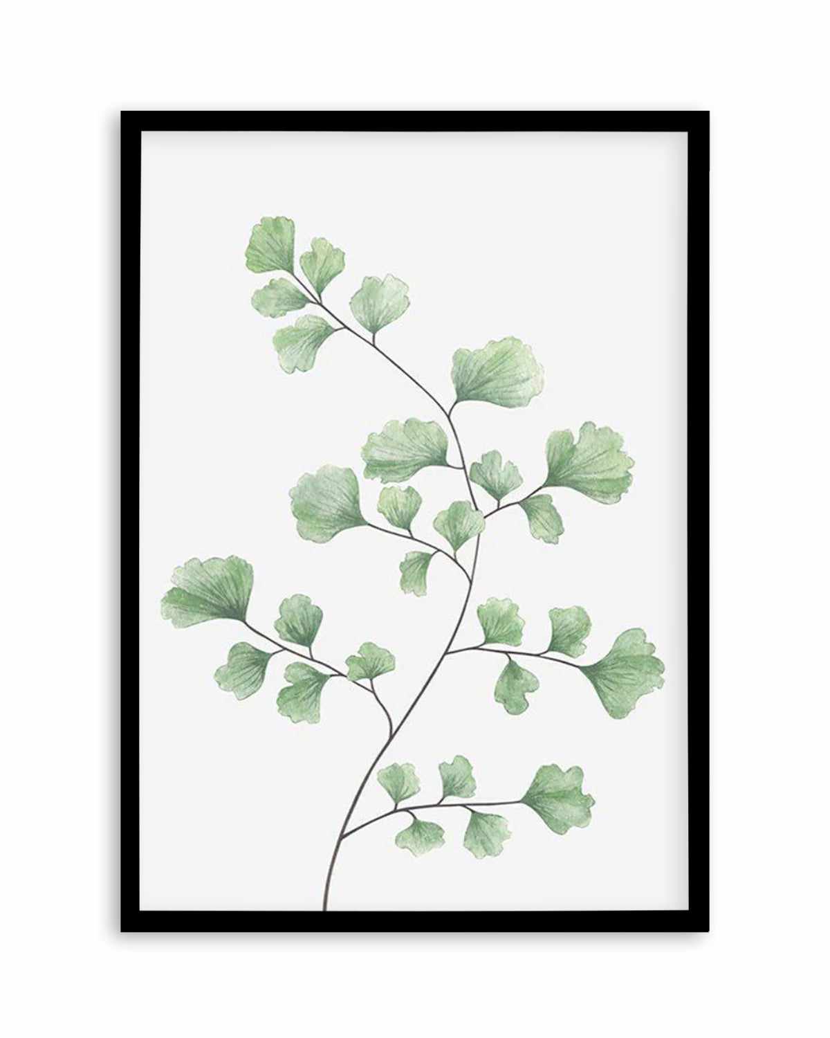 Maidenhair Fern I Art Print