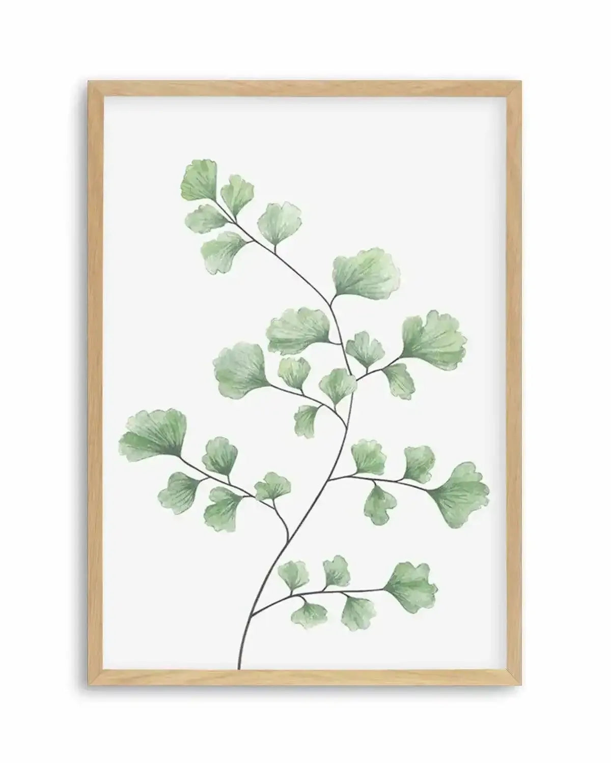 Maidenhair Fern I Art Print from Olive et Oriel where you can shop wallpaper and artworks online