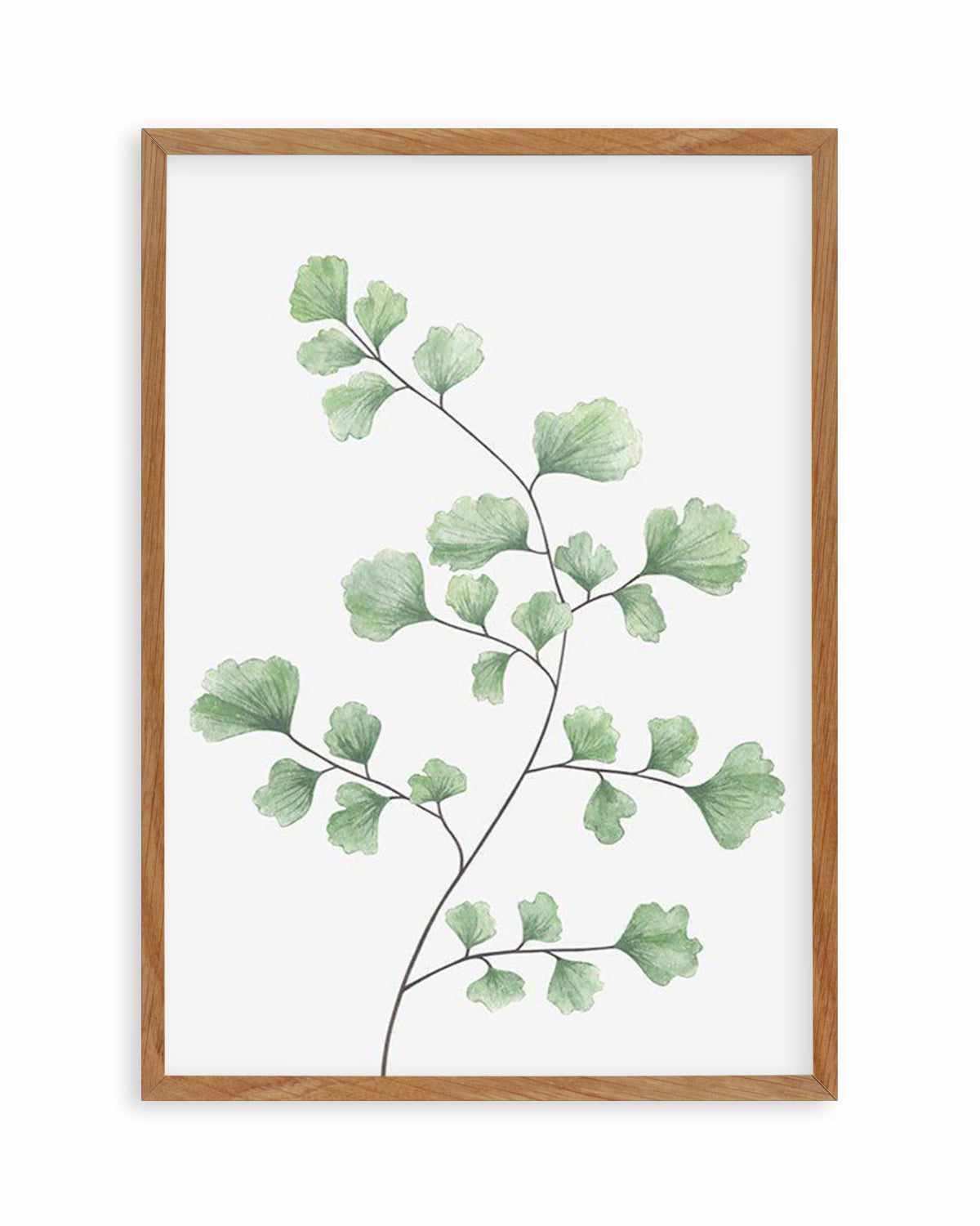 Maidenhair Fern I Art Print