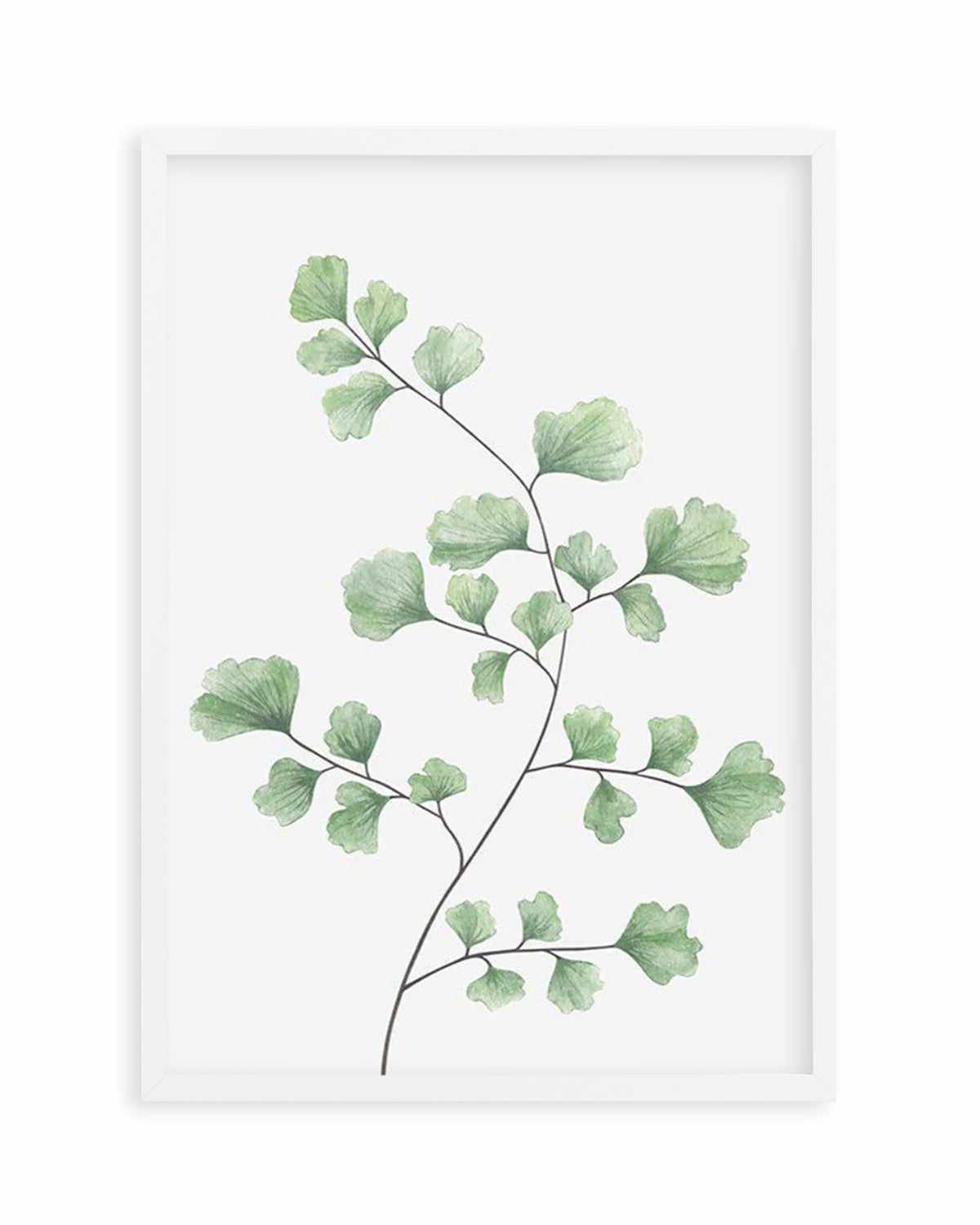 Maidenhair Fern I Art Print