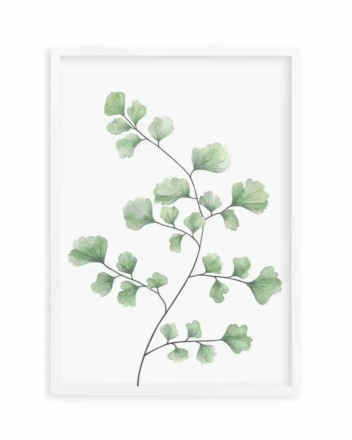 Maidenhair Fern I Art Print from Olive et Oriel where you can shop wallpaper and artworks online