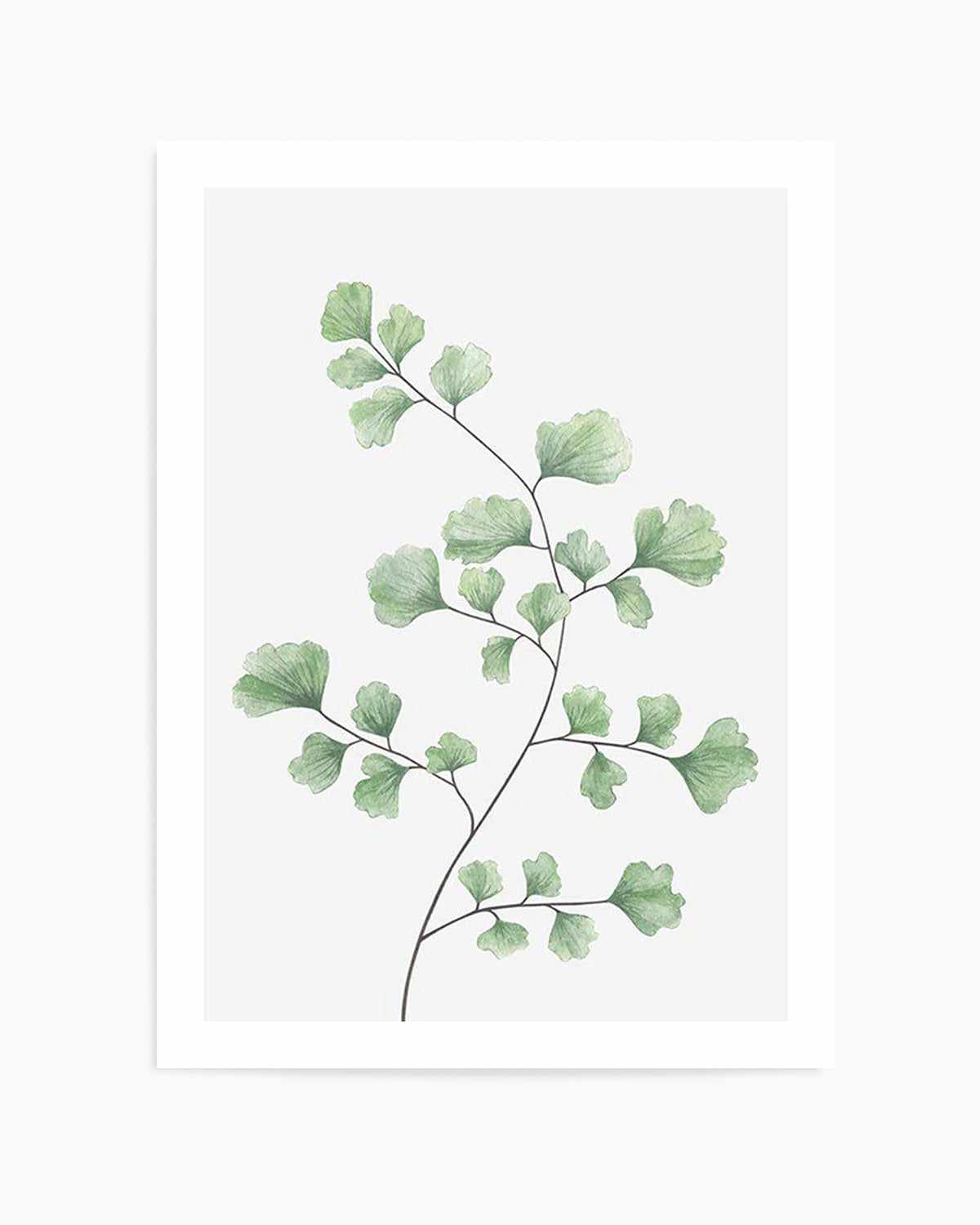 Maidenhair Fern I Art Print