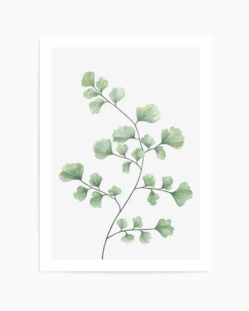 Watercolour art print featuring a delicate maidenhair fern branch with numerous small, fan-shaped leaves in varying shades of light green, on a clean white background. The fine black stem curves upwards and branches out, with the leaves showing soft, translucent brushstroke details.