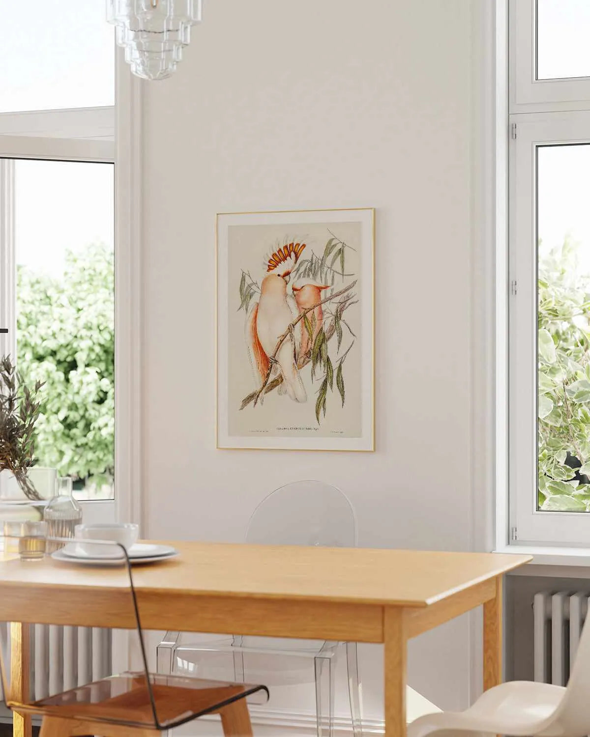 Major Mitchell Vintage Australian Bird Illustration Art Print from Olive et Oriel where you can shop wallpaper and artworks online