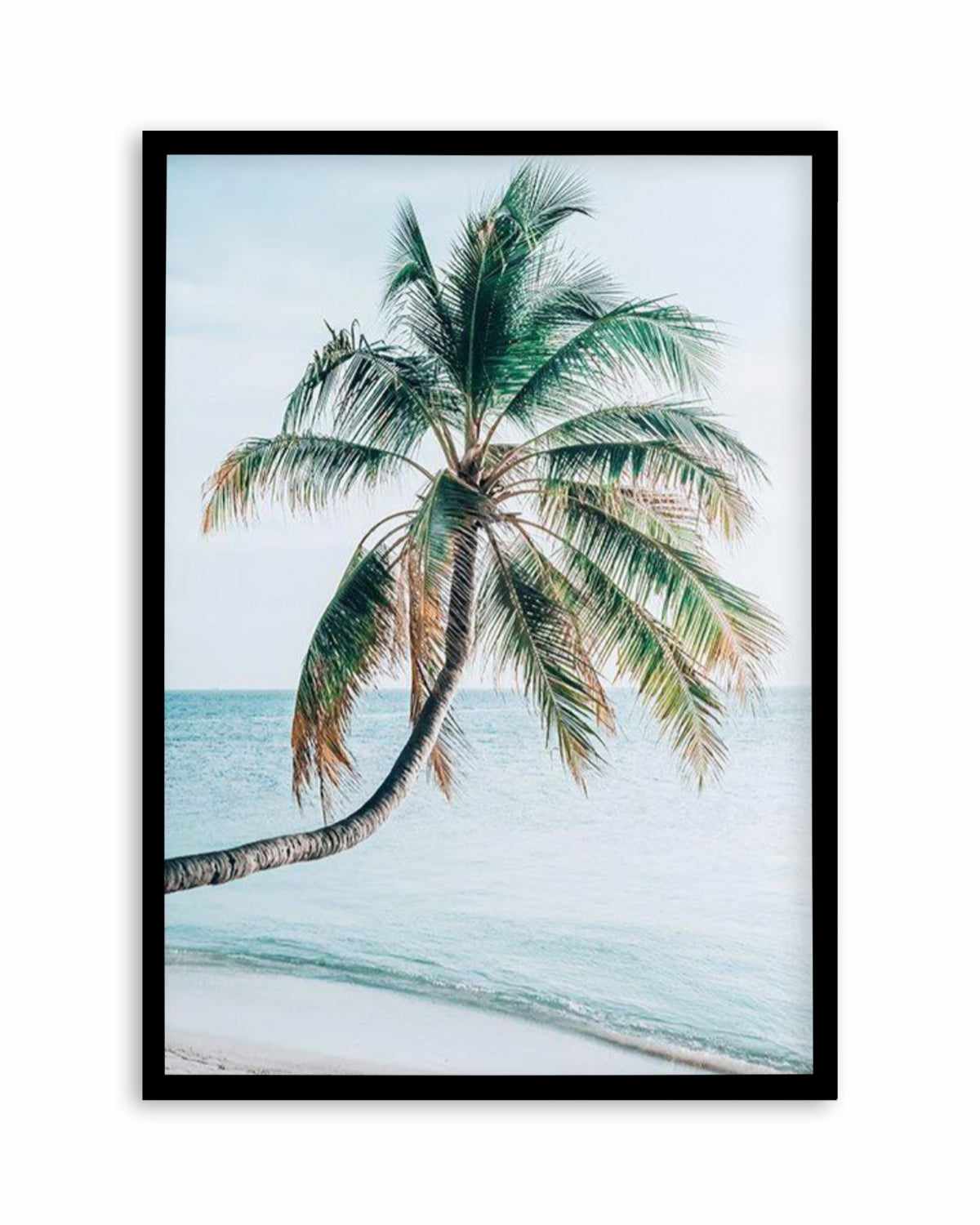 Maldivian Palm I Art Print