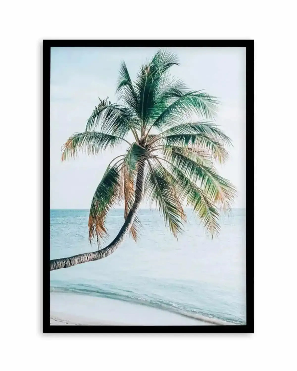 Maldivian Palm I Art Print from Olive et Oriel where you can shop wallpaper and artworks online