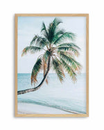 Maldivian Palm I Art Print