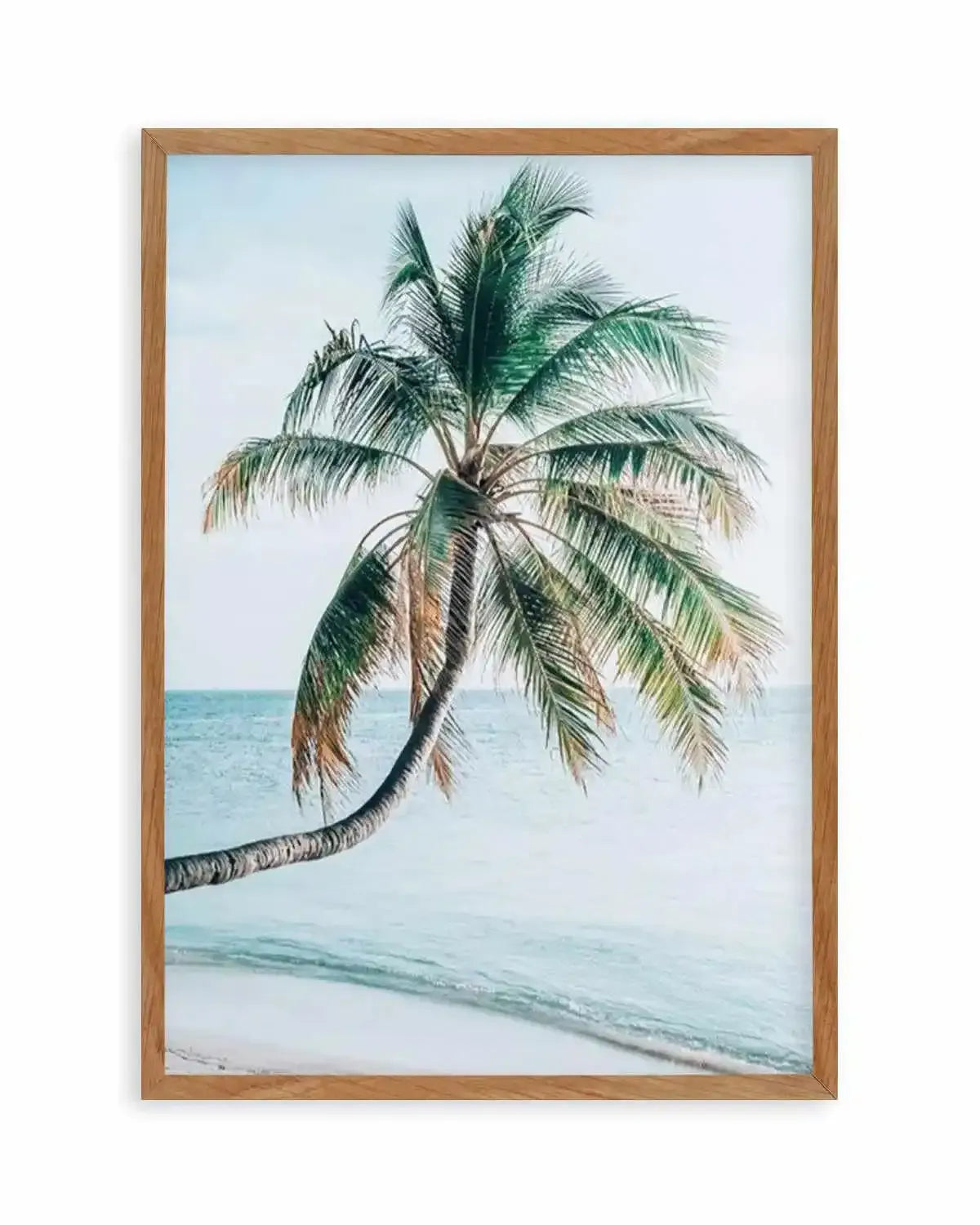 Maldivian Palm I Art Print from Olive et Oriel where you can shop wallpaper and artworks online