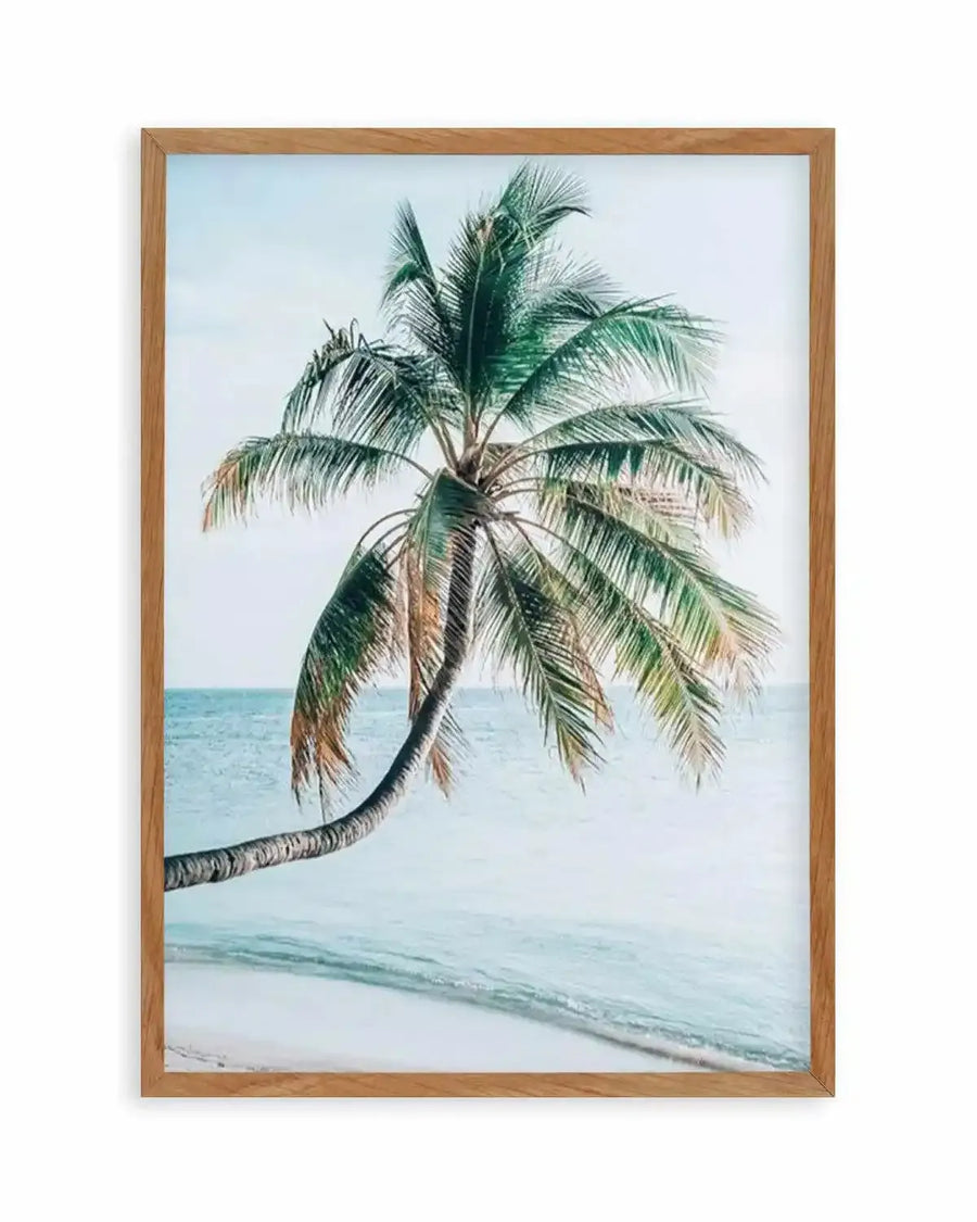 Maldivian Palm I Art Print from Olive et Oriel where you can shop wallpaper and artworks online